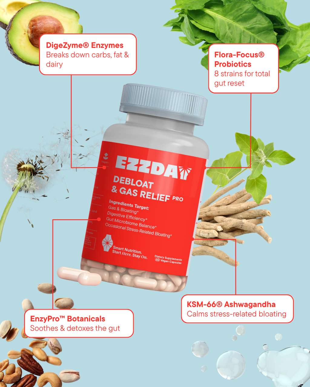 Supplement bottle with blue cap and red label, with surrounding ingredient graphics and capsules