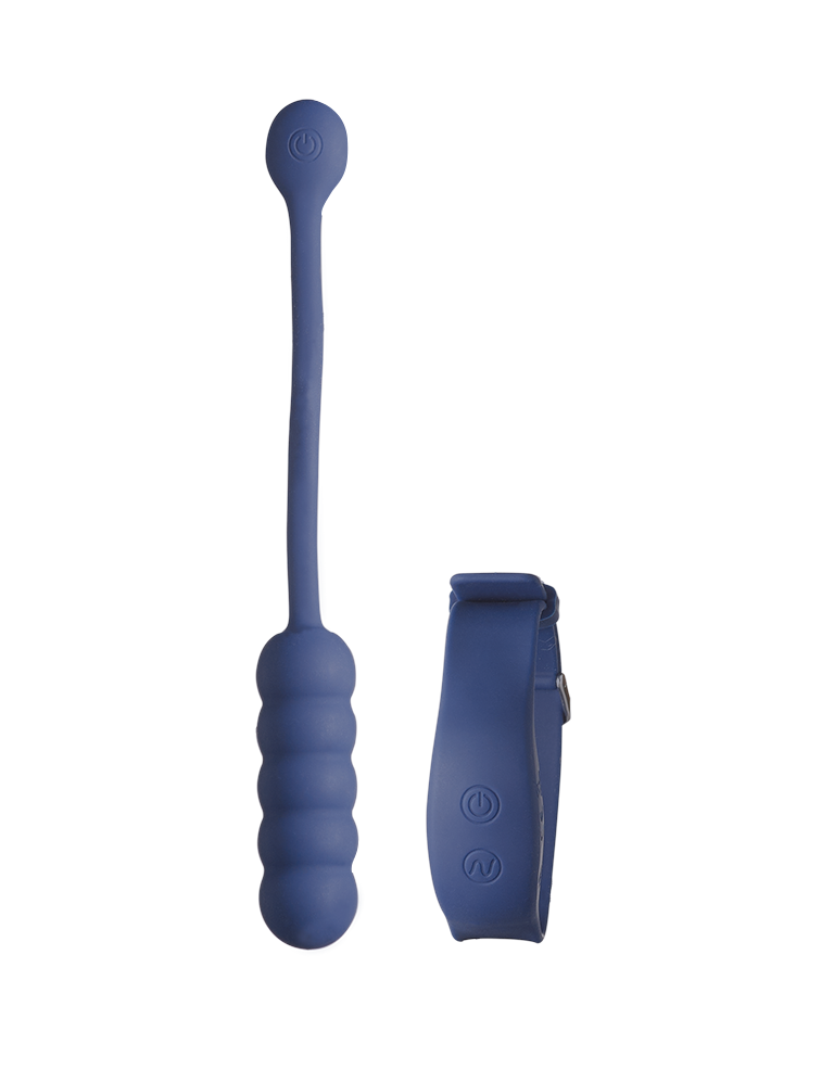 Blue silicone massager with textured handle and small charging case