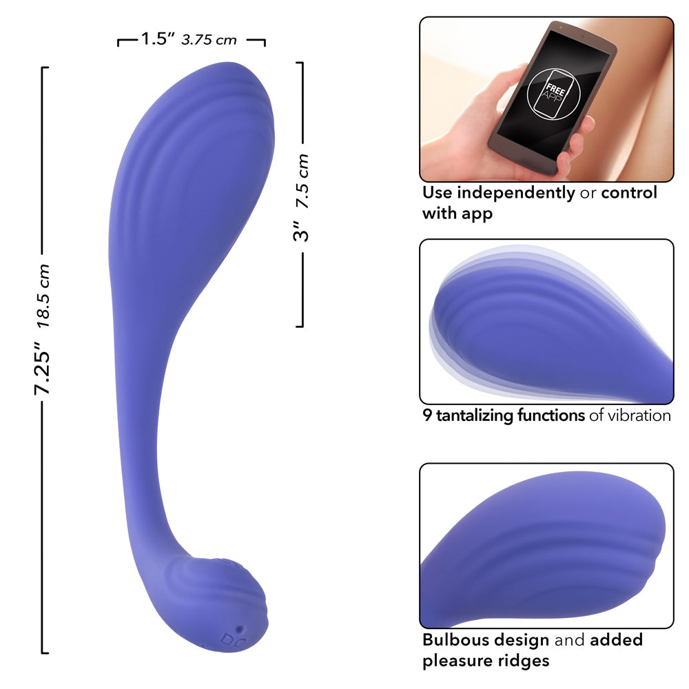 Periwinkle kegel exerciser length diagram and device close-up