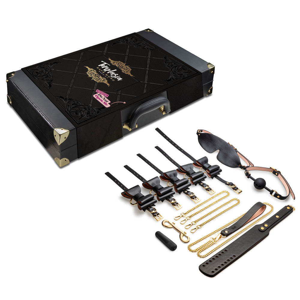 Bondage kit suitcase with black case and assorted black leather restraints, chains, and hooks